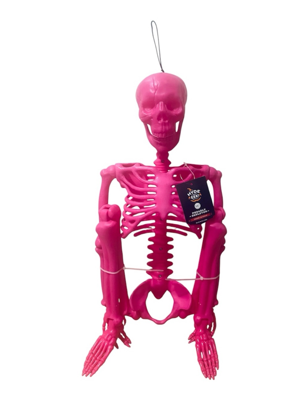 Hyde and EEK! 36" Posable Skeleton Halloween Decorative Prop